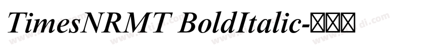 TimesNRMT BoldItalic字体转换
